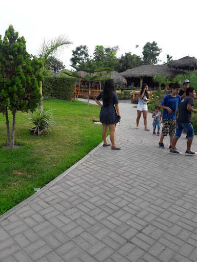 AGENTE KASNET/INTERBANK/SCOTIABANK" BODEGA - Internet el MISTER"