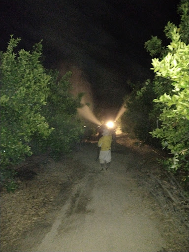 Pueb San Jose de los Molinos