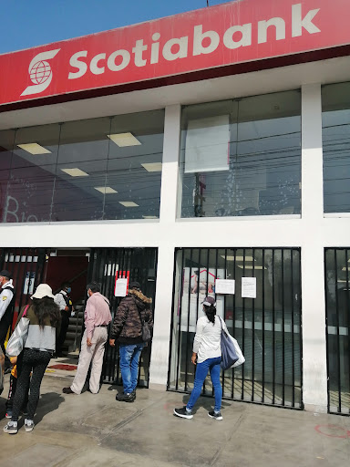 ScotiaBank